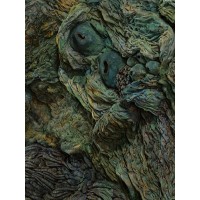 <a href=https://www.galeriegosserez.com/gosserez/artistes/l-c-lab.html> L&C Lab</a> - Biomater - Oval Green Shape
